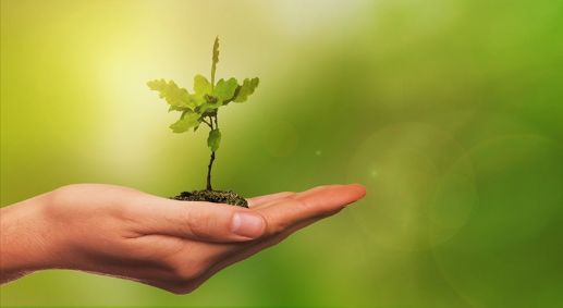 Yeşil Mutabakat Çalıştayları Başladı