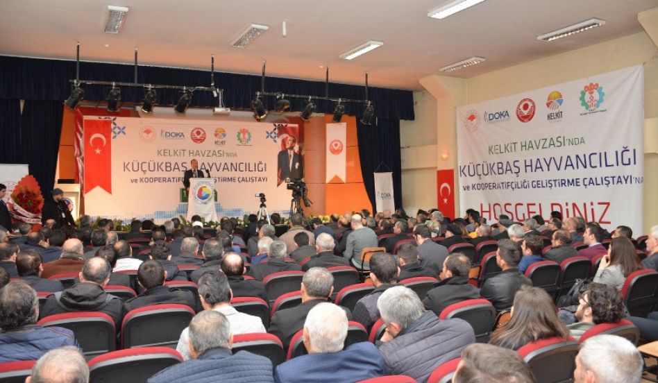 Kelkit Havzası’nda Küçükbaş Hayvancılığı ve Kooperatifçiliği Geliştirme Çalıştayı Başladı