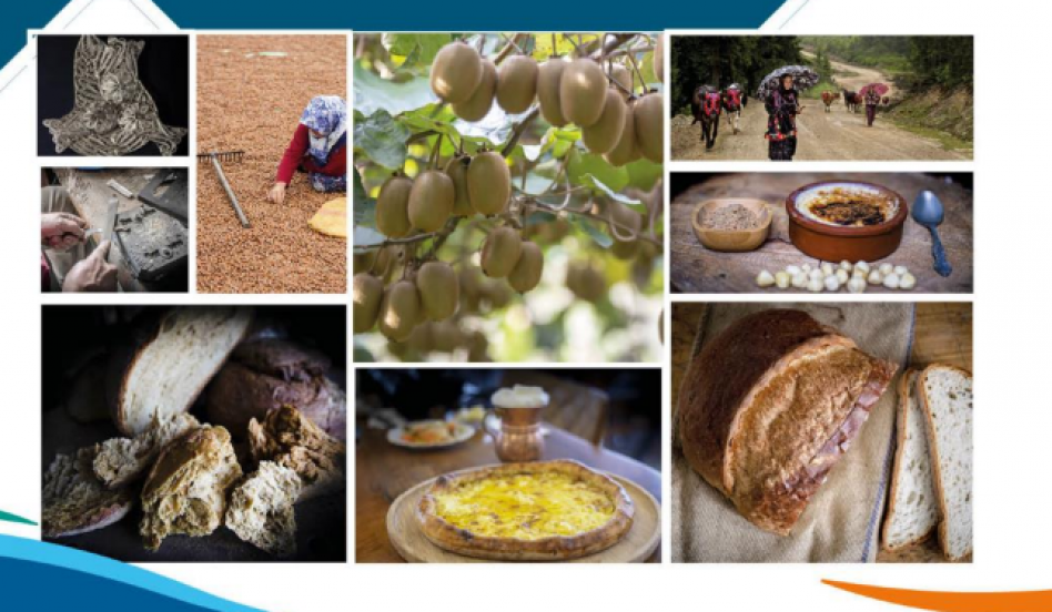 Coğrafi İşaretli Ürünlerin Değeri Artacak