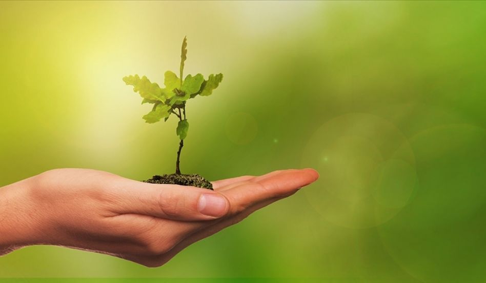 Yeşil Mutabakat Çalıştayları Başladı