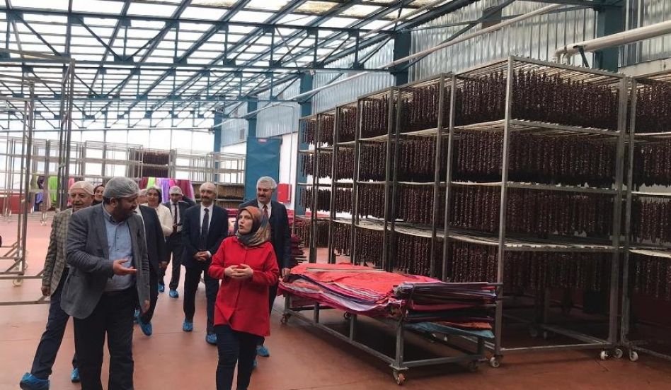 Genel Müdür Yeniçeri Gümüşhane’de Uygulanan DOKA ve DOKAP Projelerini İnceledi